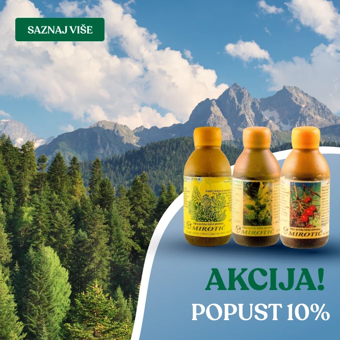 Šipurak, bor i kopriva – esencija vitalnosti u tri moćna eliksira.