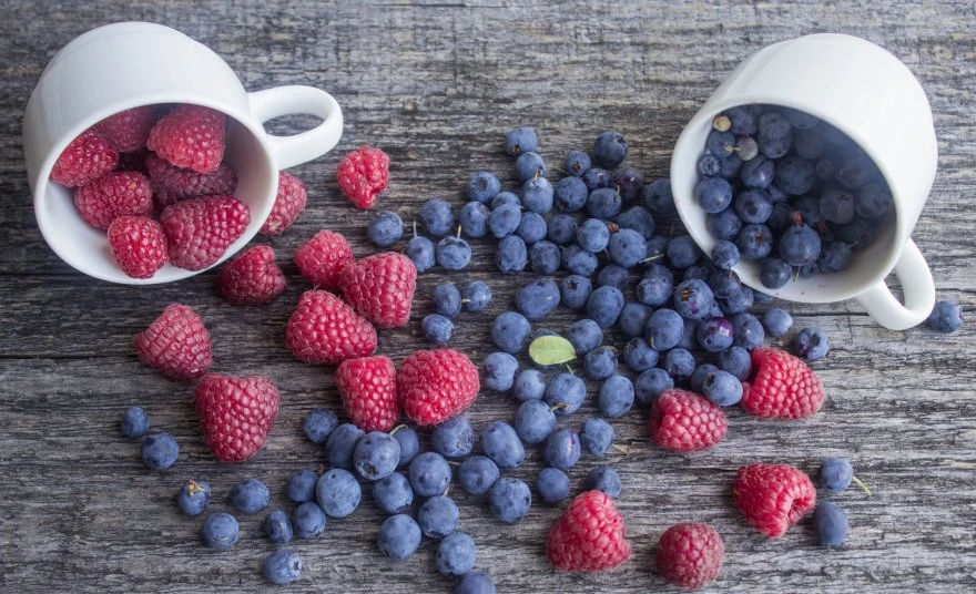 Ishrana kod kamena u žuči