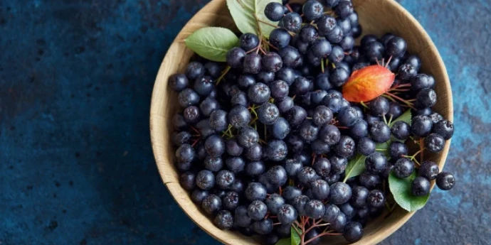 Aronija kao lek