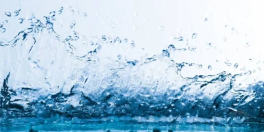 Bubrezi i element vode – pravilna ishrana za jačanje bubrega