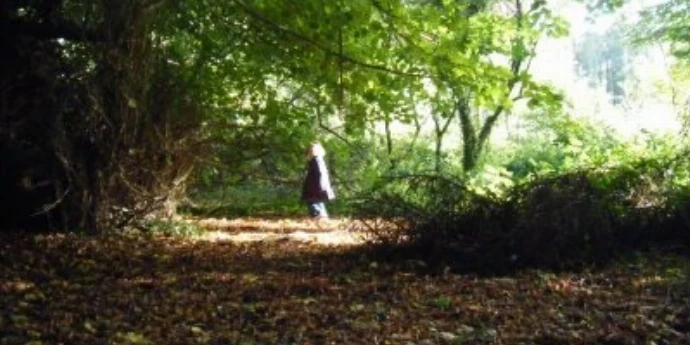 Bujno leto - Barbara Kingsolver