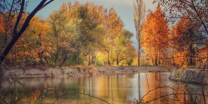 Element metal i godišnje doba jesen