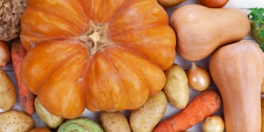 Ishrana kod heliko bakterije 