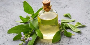 Kako izlečiti prehladu za jedan dan na prirodan način?