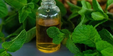 Koji je najbolji prirodni lek za glavobolju?