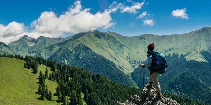 Pođi kud bilo - Sesil Šabo