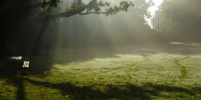 Post - neka telo i duh problistaju