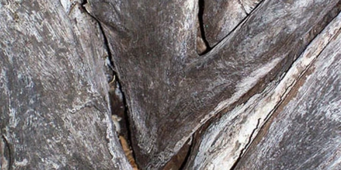 Šansona - Žak Prever111