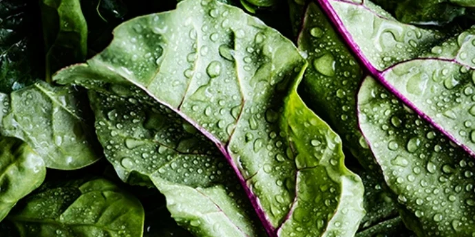 Saveti za prolećnu ishranu