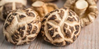 Šitake pečurke – zdravlje i lekovitost na tanjiru