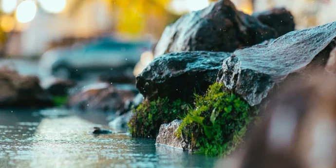 Slap - Dobriša Cesarić