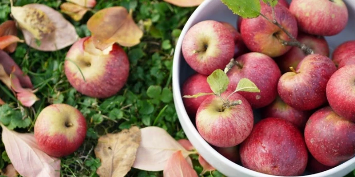 Šta je to zdravstveno stanje?