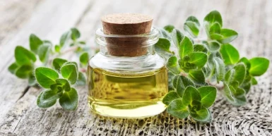 Ulje divljeg origana -za šta je dobro, upotreba i nuspojave