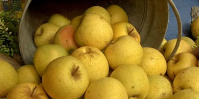 Kolač od žutih namirnica (bez glutena)