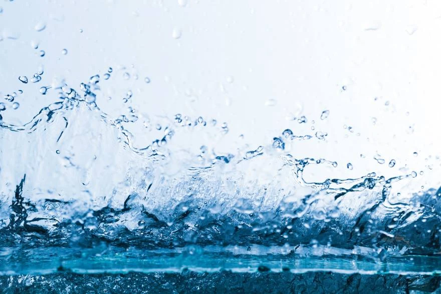 Bubrezi i element vode – pravilna ishrana za jačanje bubrega