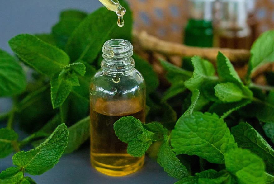 Koji je najbolji prirodni lek za glavobolju?