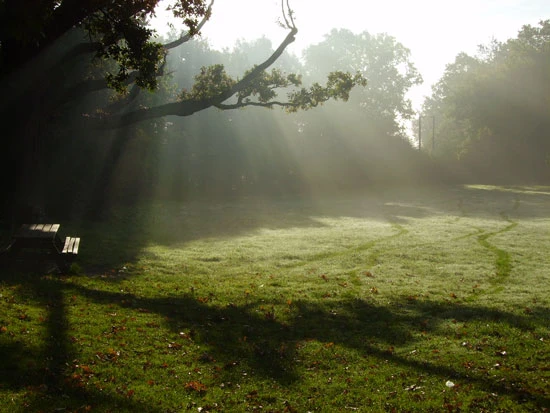 Post - neka telo i duh problistaju