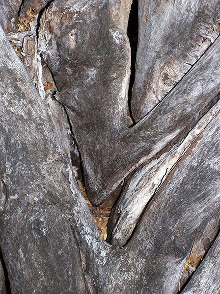 Šansona - Žak Prever111