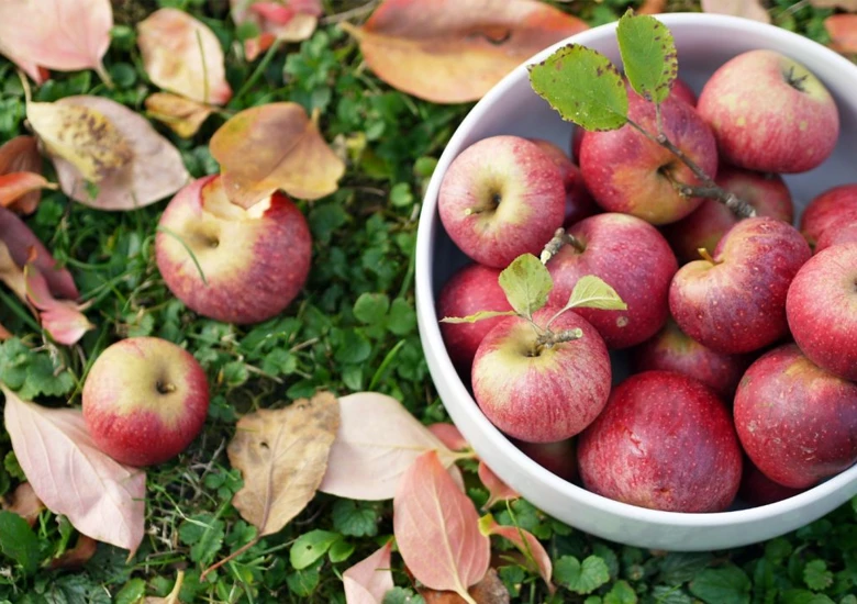 Šta je to zdravstveno stanje?