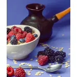 Ovsena kaša šumsko voće (organski proizvod) 60 g Bio Špajz