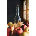 Jabukovo sirće (organski proizvod) 200 ml Bio Špajz