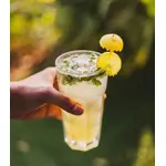 Napitak zova & agava (organski proizvod) 200 ml Bio Špajz