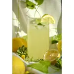 Sirup zova & agava (organski proizvod) 200 ml Bio Špajz