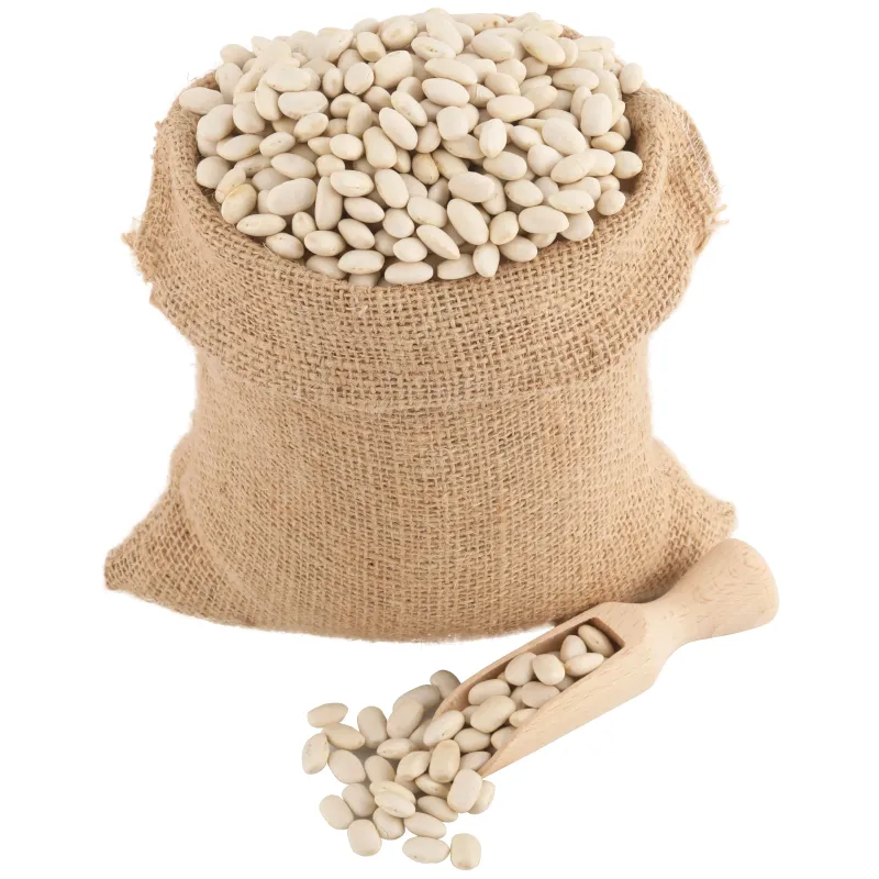 Beli pasulj (organski proizvod) Bio Špajz