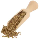 Grčko seme piskavica