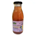 Napitak limun & borovnica sa agavom (organski proizvod) 250 ml Bio Špajz