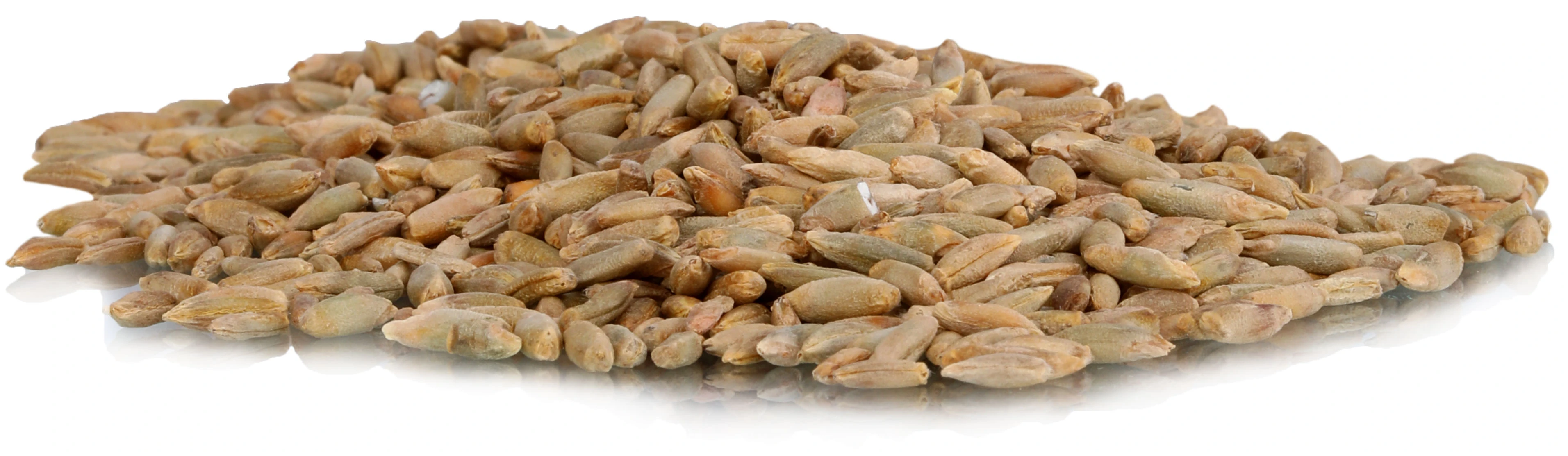 Raž (organski proizvod) Bio farma Mamužić