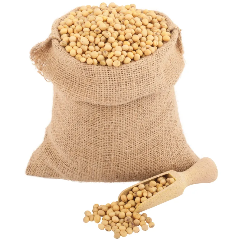 Soja zrno (organski proizvod) Bio Špajz