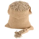 Suncokret oljušten sirovi