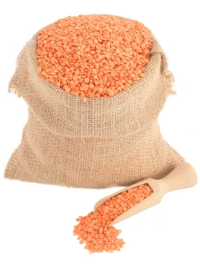 Crveno sočivo (organski proizvod) Bio Špajz