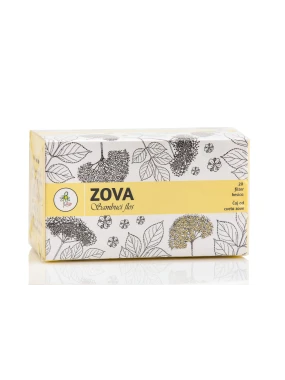 Filter čaj od cveta zove 20 kesica IPLB Dr Josif Pančić