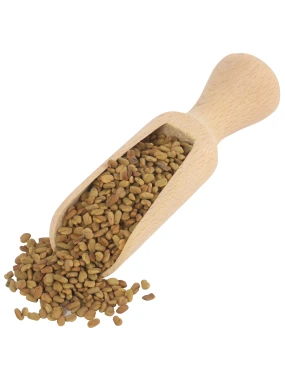 Grčko seme piskavica