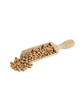 Naut - leblebija sirova