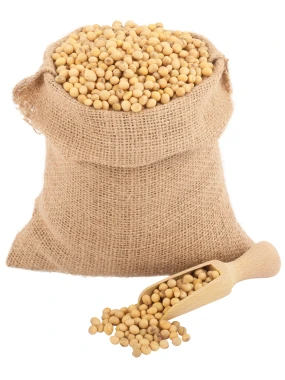 Sirova soja (organski proizvod) Galus