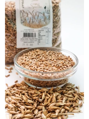 Spelta zrno 500 g Spelta Jevtić