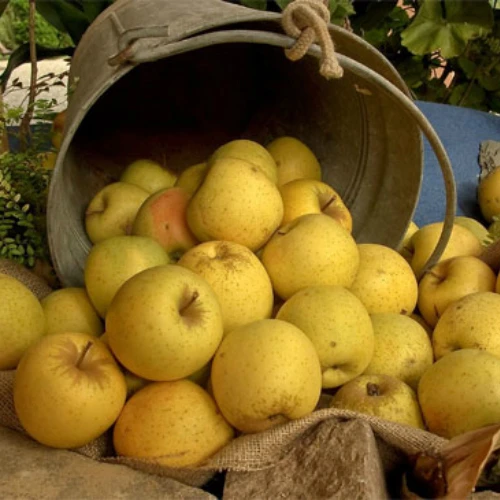 Kolač od žutih namirnica (bez glutena)