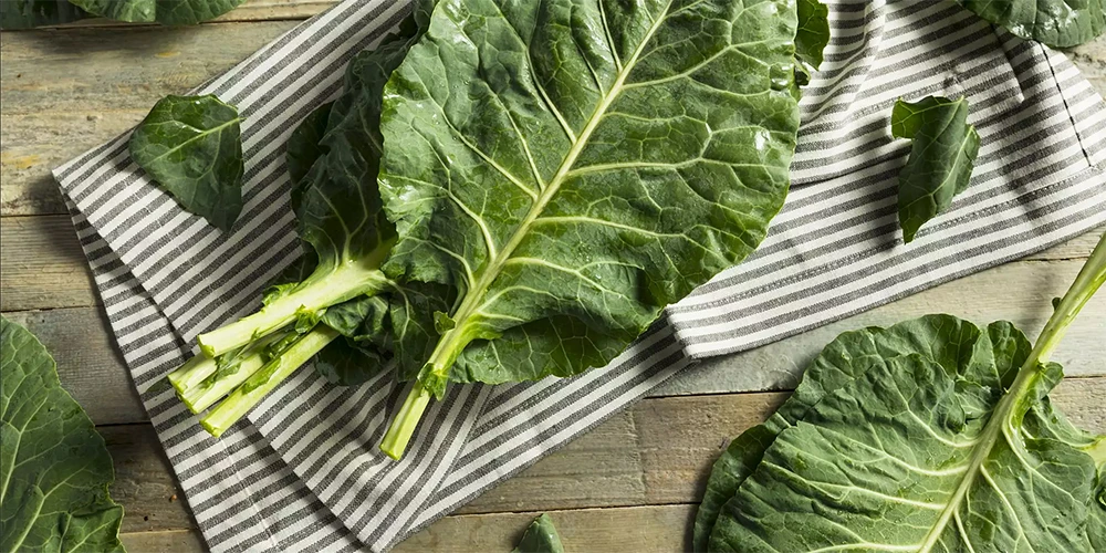 Sarmice od raštana - dalmatinskog kupusa (bez glutena)