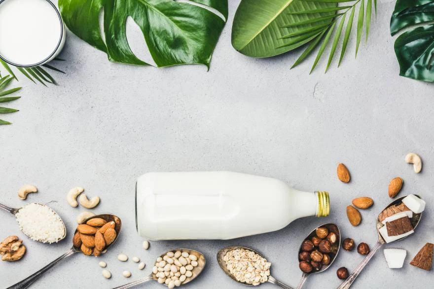 Biljno mleko pored činija sa sastojcima