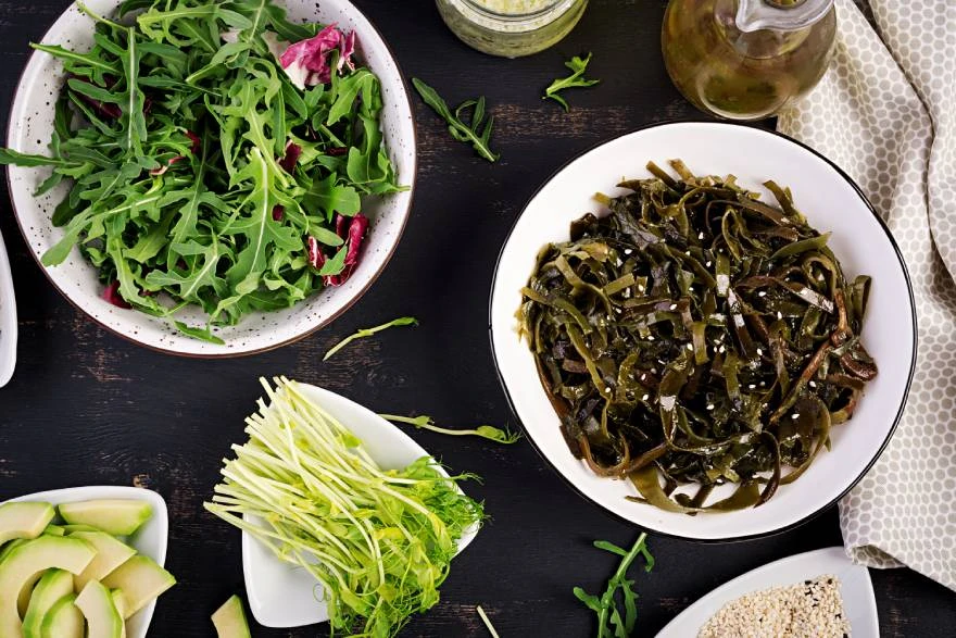 Činija sa algama pored raznih drugih namirnica