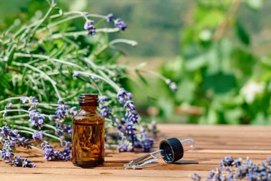 Eterično ulje od lavande