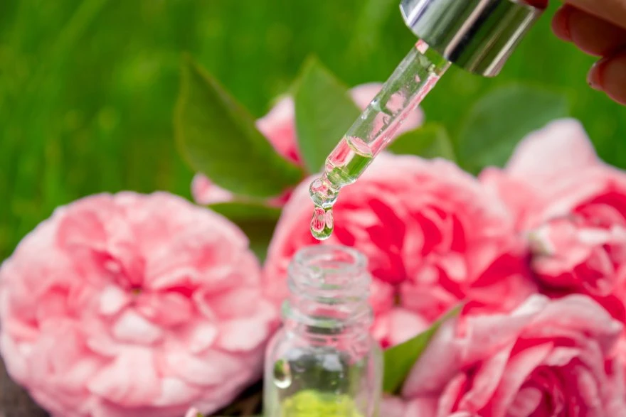 Bočica ružine vodice ispred cvetova ruža